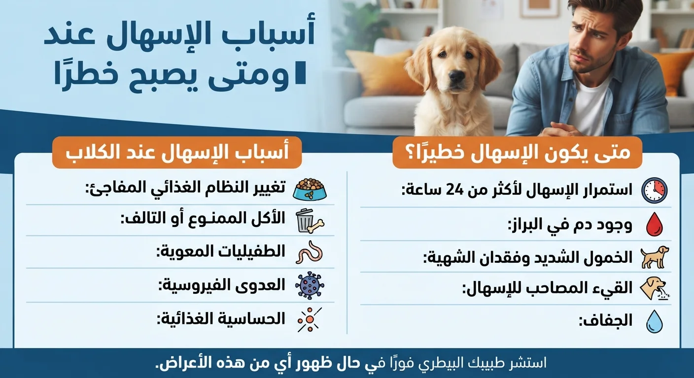 أسباب الإسهال عند الكلاب ومتى يصبح خطرًا